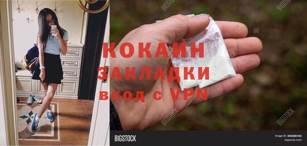 хмурый Пестово