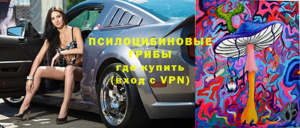 экстази Пересвет