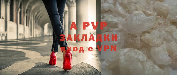 хмурый Пестово