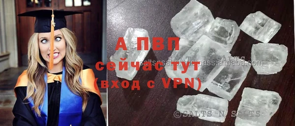 хмурый Пестово